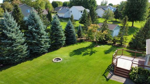 Amazingly private backyard surrounded by mature pine trees, entertain & relax with backyard fire pit.