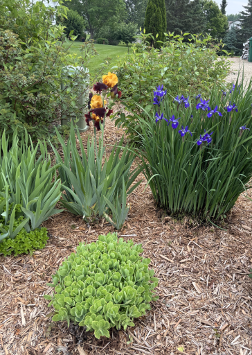 Lots of extensive professional landscaping with beautiful flowers, shrubs & bushes.