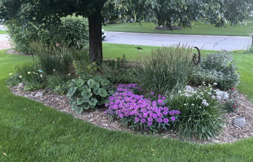 Lots of extensive professional landscaping with beautiful flowers, shrubs & bushes.