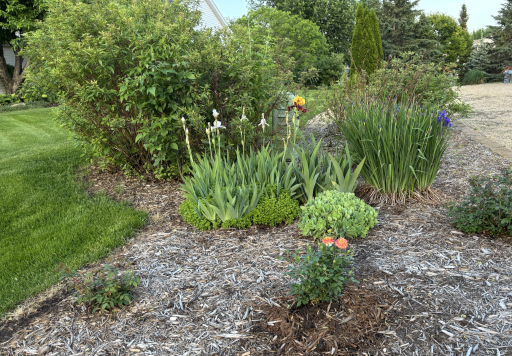 Lots of extensive professional landscaping with beautiful flowers, shrubs & bushes.