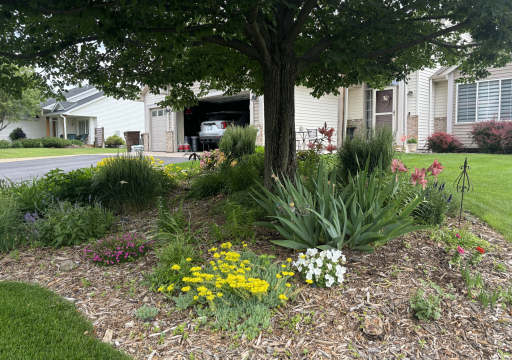Lots of extensive professional landscaping with beautiful flowers, shrubs & bushes.