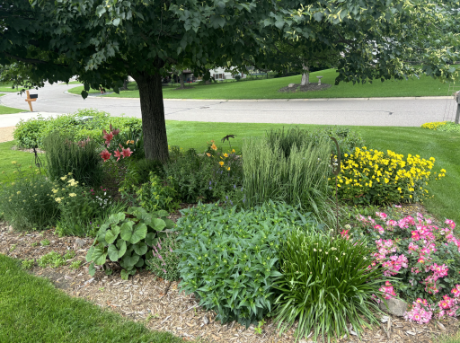 Lots of extensive professional landscaping with beautiful flowers, shrubs & bushes.
