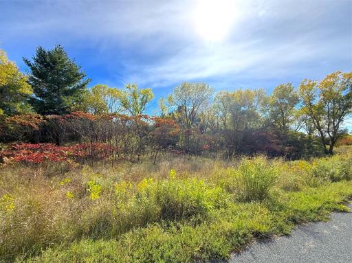 A designated preservation area keeps a portion of the property natural and untouched, adding to the privacy, beauty and peaceful character of this exceptional lakeshore setting.