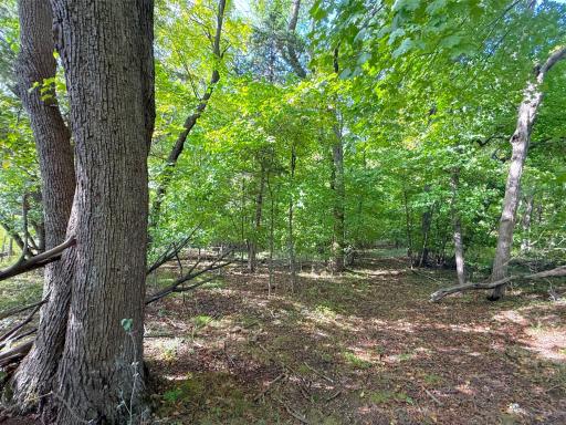 Lot 2 Blk 1 78th Street NW, South Haven, MN 55302