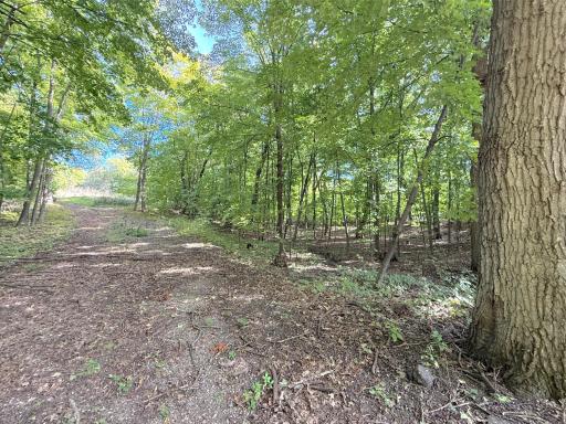 Located just a short drive to Annandale offering golf courses, a vibrant main street, scenic parks & walking paths, schools and many dining options.