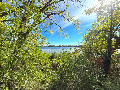 Rolling wooded acres stretch toward the shoreline, creating a beautiful natural backdrop with plenty of space to thoughtfully design and build your dream home