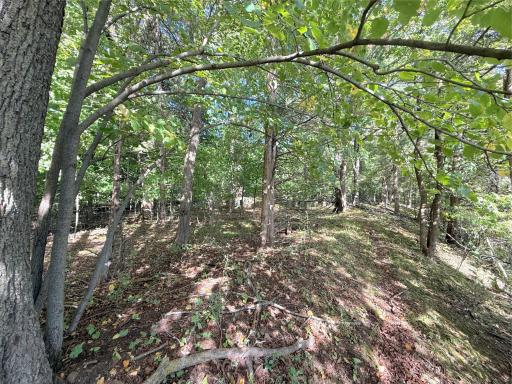 Lot 2 Blk 1 78th Street NW, South Haven, MN 55302