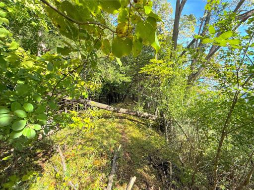 Lot 2 Blk 1 78th Street NW, South Haven, MN 55302