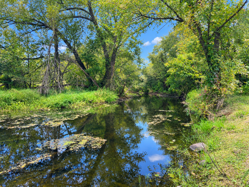 50800 Evergreen Avenue, Rush City, MN 55069