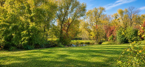 50800 Evergreen Avenue, Rush City, MN 55069