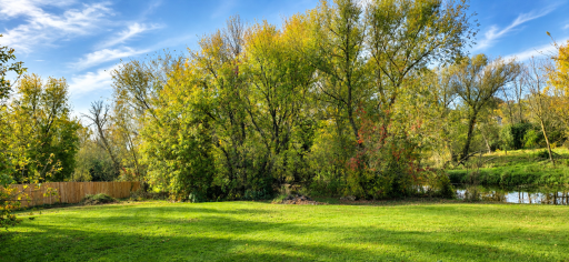50800 Evergreen Avenue, Rush City, MN 55069