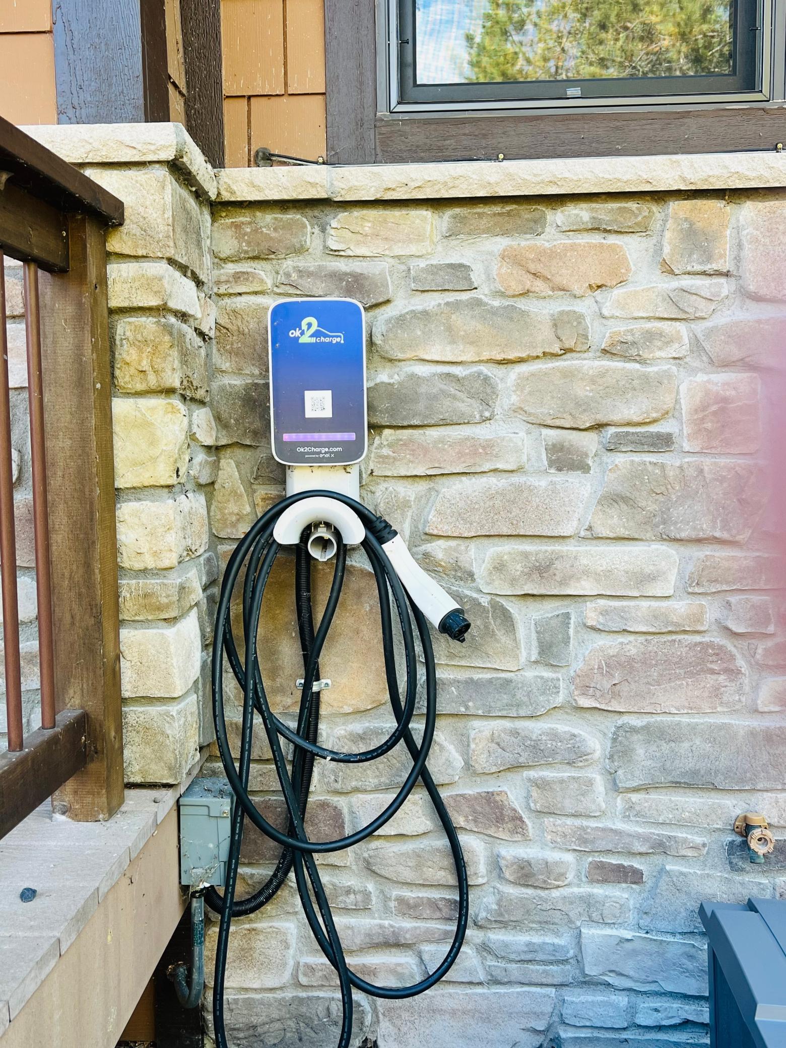 Electric Carge.jpg