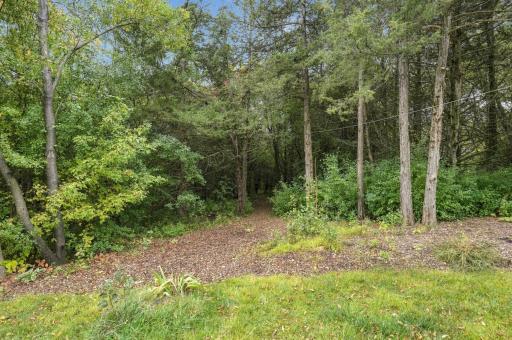 3+ acres of land