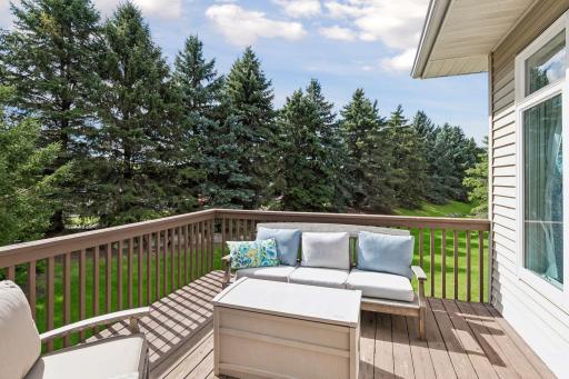 10381 Lancaster Cove, Woodbury, MN 55129