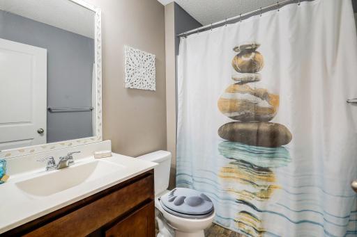 8710Photography-Web-Friendly-15174-Emory-Circle-Apple-Valley-MN-55124-28.jpg