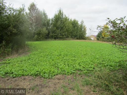 21157 Homestead Road, Pine City, MN 55063