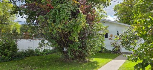 605 7th Street, International Falls, MN 56649
