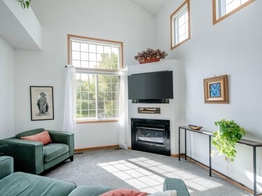 High end Hunter Douglas Blinds