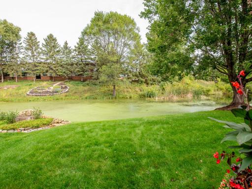 Pond