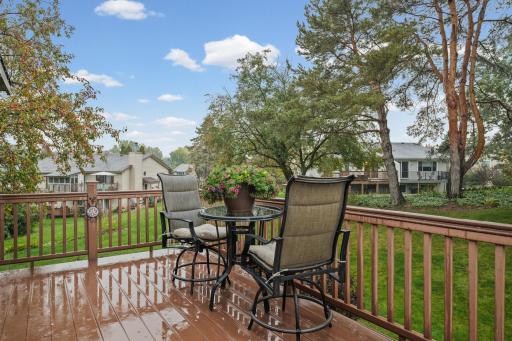 1142 Parkview Lane, Eagan, MN 55123