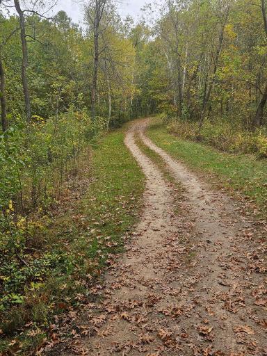 Lots of great trails to hike and walk around in Lebanon Hills