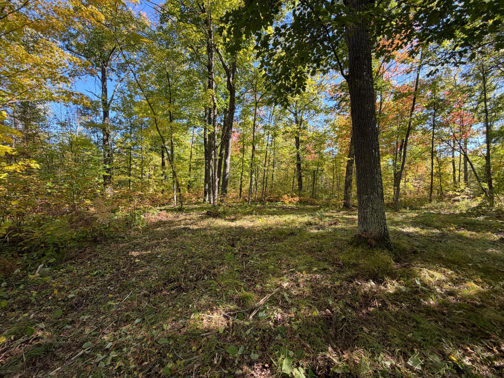 Property photo for tbd 110th, Sturgeon Lake, MN 55783
