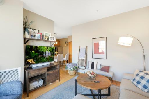 15 E Franklin Avenue, 208, Minneapolis, MN 55404