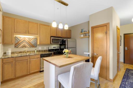 15 E Franklin Avenue, 208, Minneapolis, MN 55404