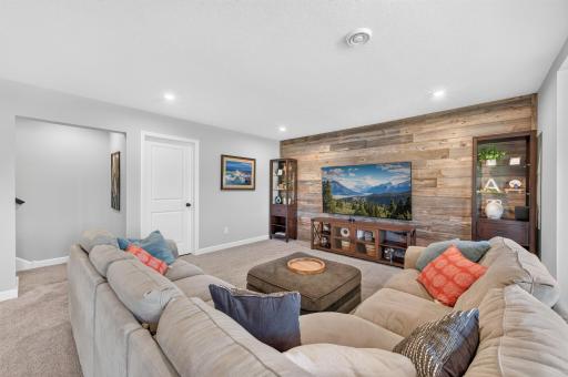 Lower Level Family Room-Entertainment Space. 2 Side Cabinets Can Stay with the Home