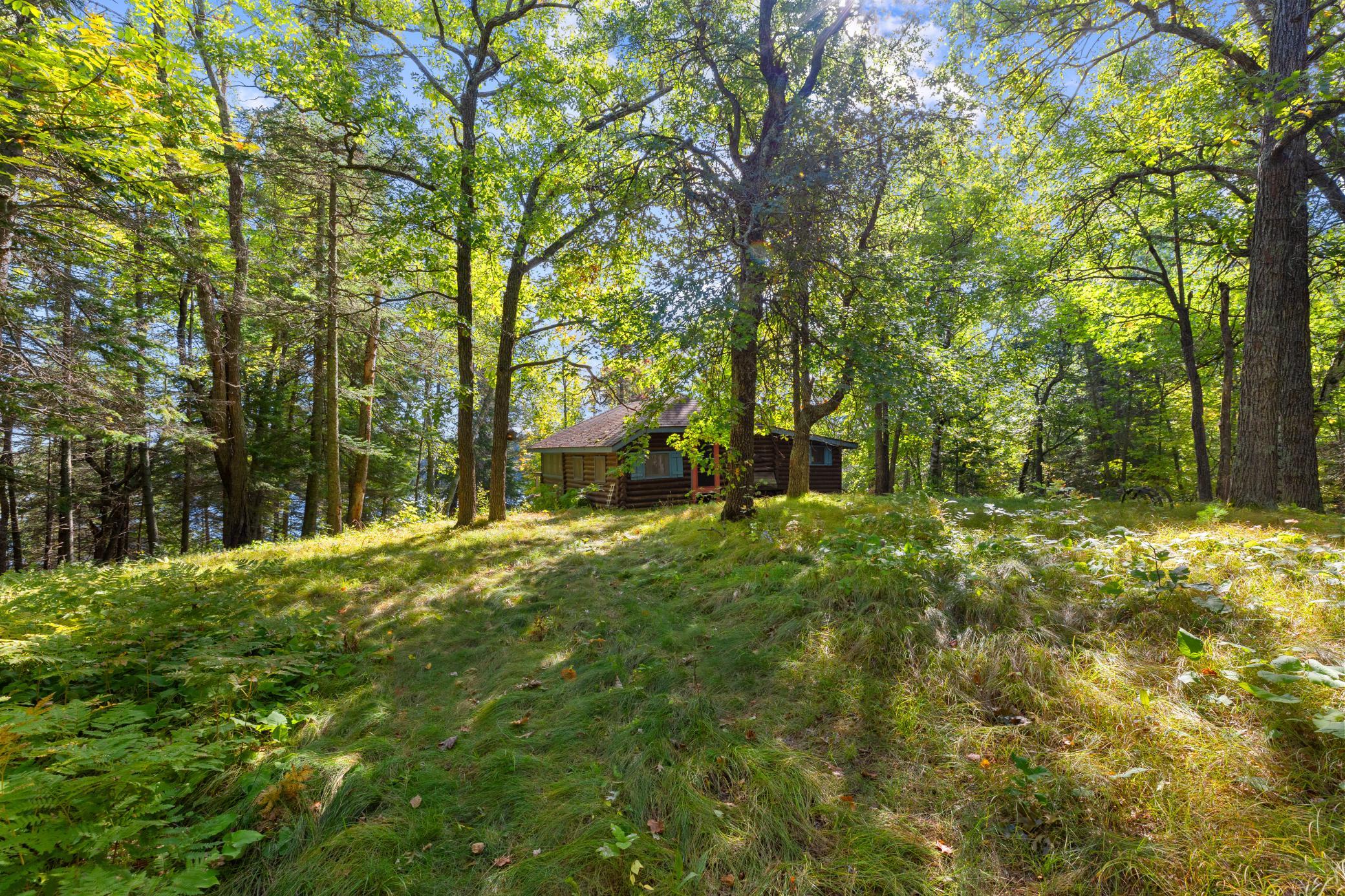 Tucked into the woods, the existing cabin offers a peaceful and private setting.