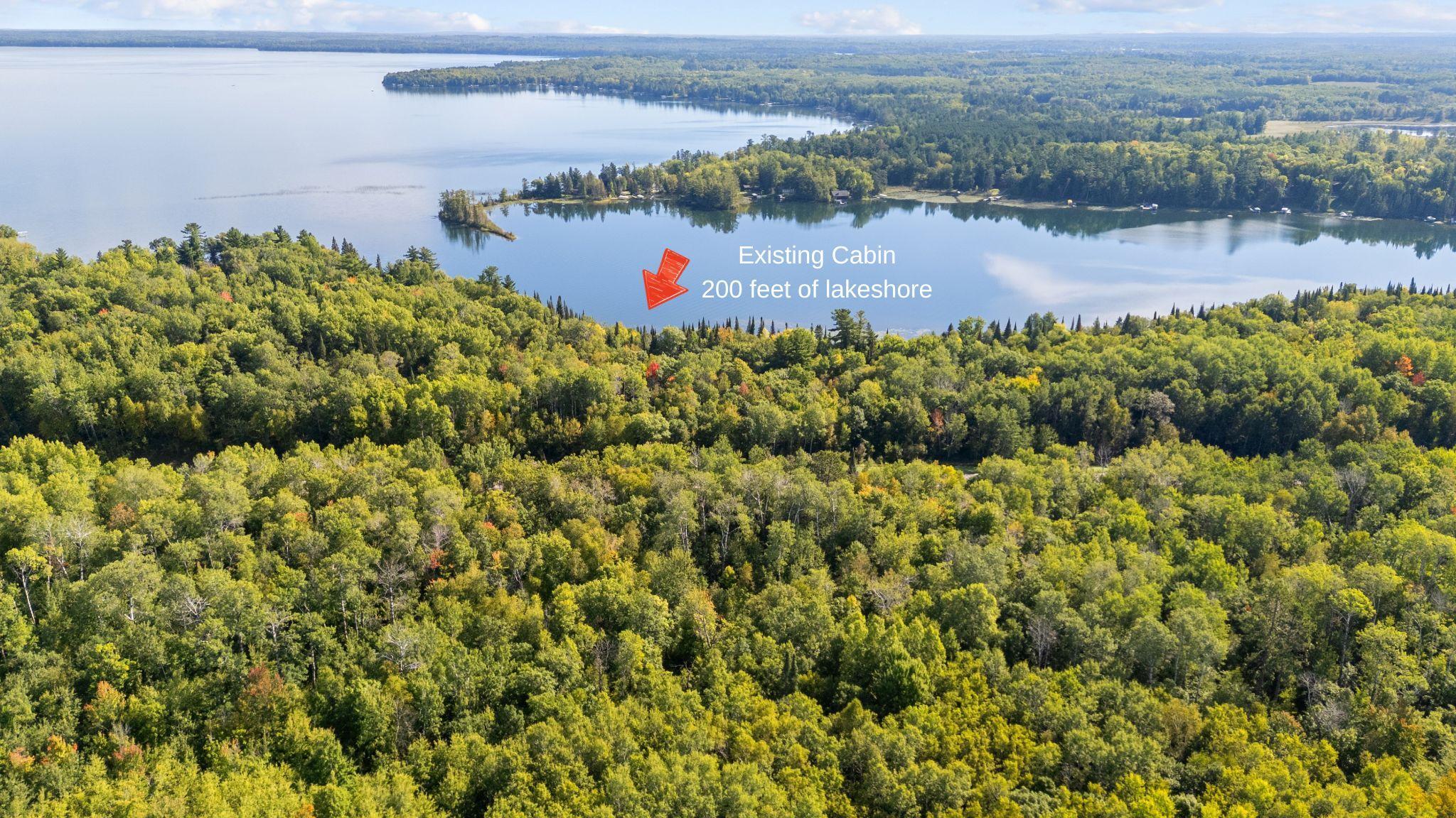Existing seasonal cabin nestled beneath mature trees.