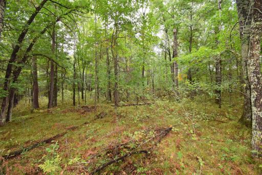 W9444 Dock Lake Road, Spooner, WI 54801