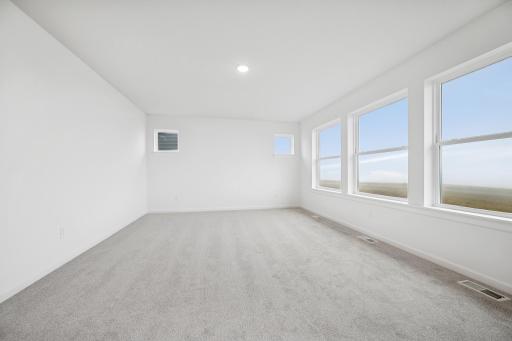 1646 Tyrone Drive, Shakopee, MN 55379