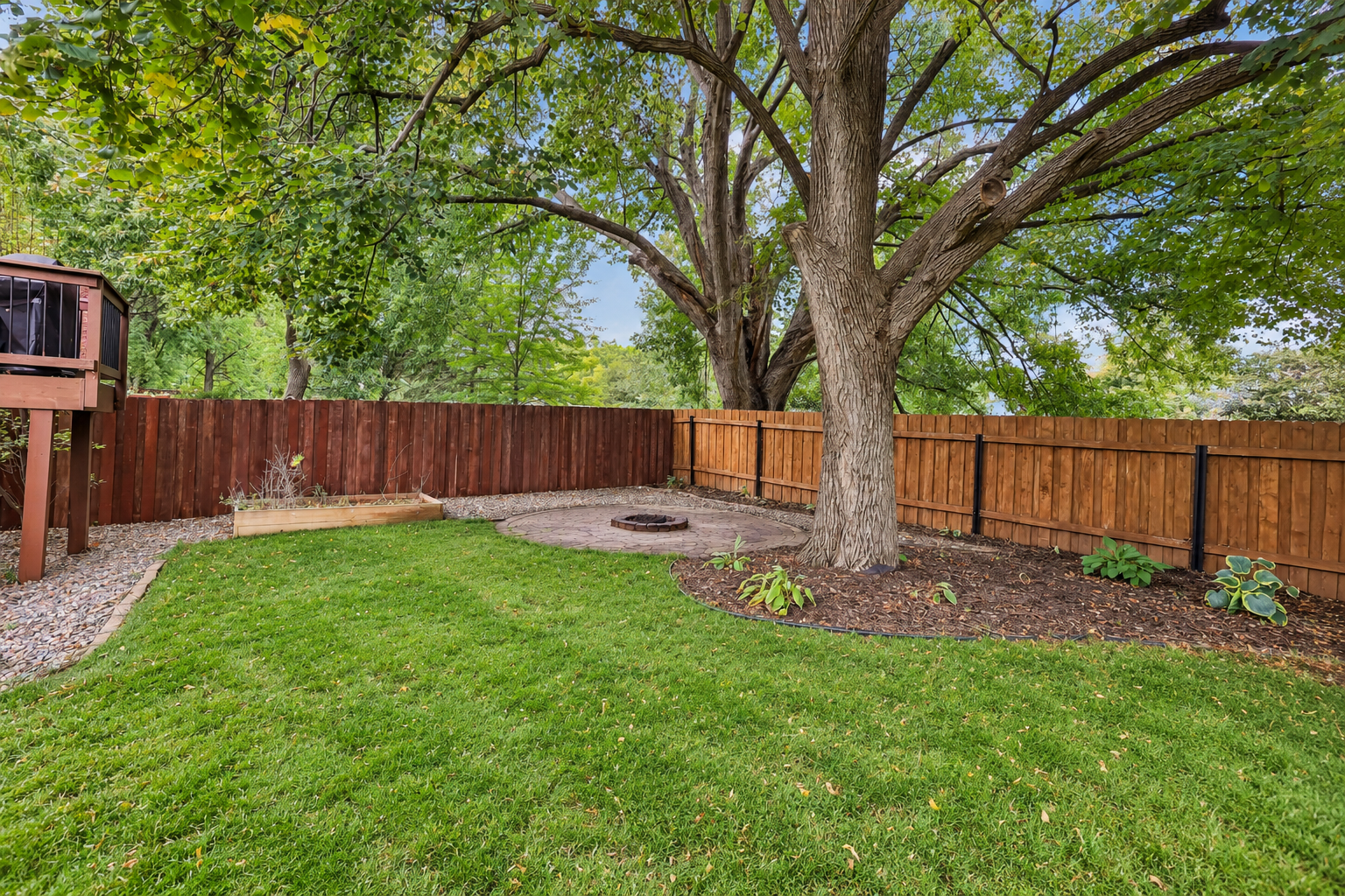 Exterior - Backyard (3).png