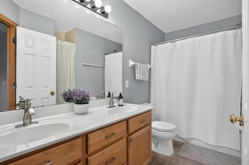 17679 Hackberry Court, Eden Prairie, MN 55347