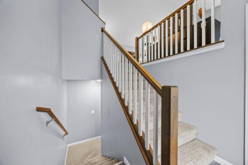1007 Alexander Court, Montrose, MN 55363