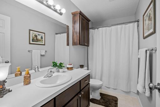 1007 Alexander Court, Montrose, MN 55363