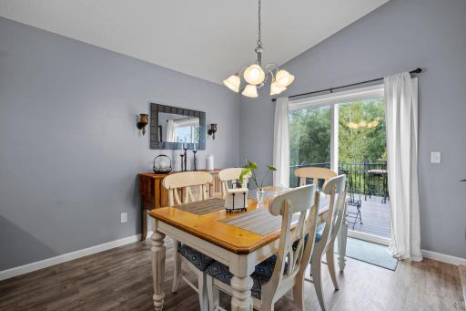 1007 Alexander Court, Montrose, MN 55363
