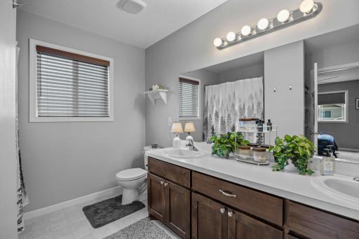 1007 Alexander Court, Montrose, MN 55363