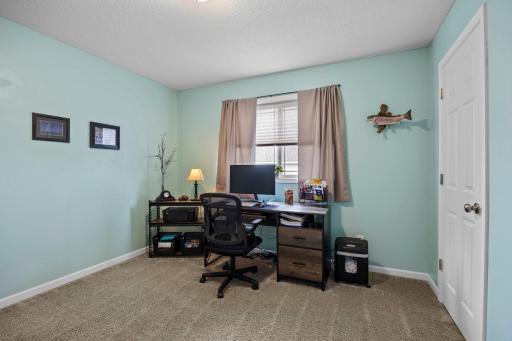 1007 Alexander Court, Montrose, MN 55363