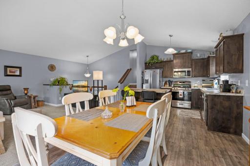 1007 Alexander Court, Montrose, MN 55363