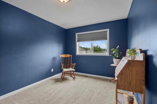 1007 Alexander Court, Montrose, MN 55363