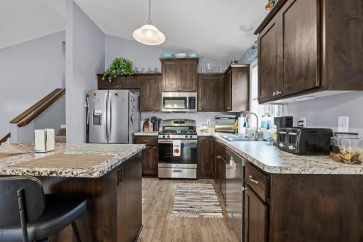 1007 Alexander Court, Montrose, MN 55363