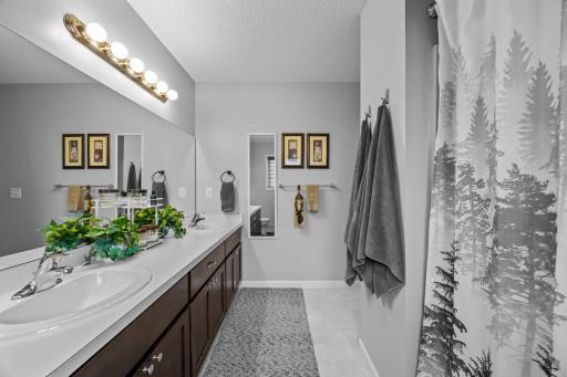 1007 Alexander Court, Montrose, MN 55363