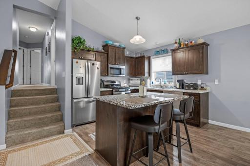 1007 Alexander Court, Montrose, MN 55363