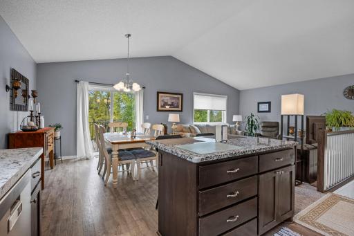 1007 Alexander Court, Montrose, MN 55363