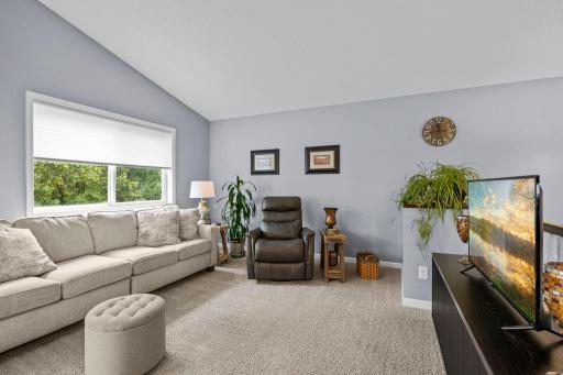 1007 Alexander Court, Montrose, MN 55363