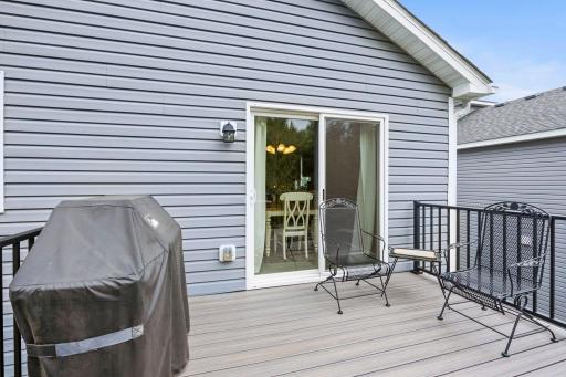 1007 Alexander Court, Montrose, MN 55363