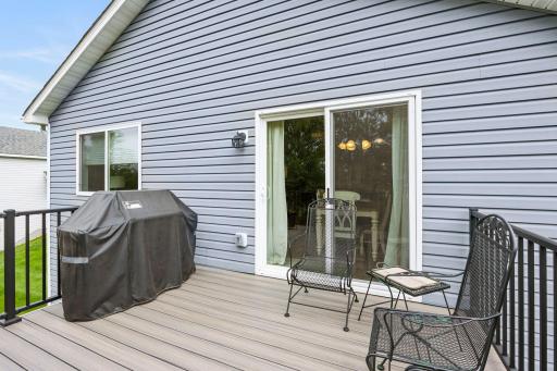 1007 Alexander Court, Montrose, MN 55363