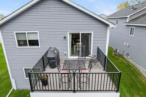 1007 Alexander Court, Montrose, MN 55363